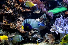 Killikus&reg; Fotographie